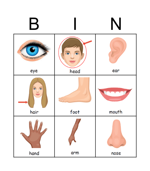 Body Parts Bingo Card