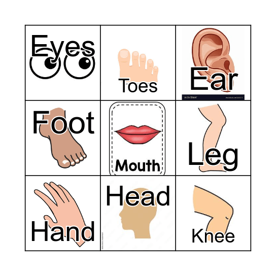 Body Parts Bingo Card