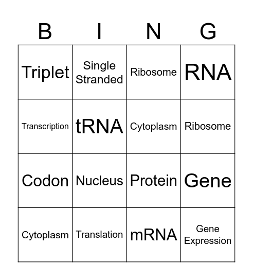 Protein Synthesis Bingo Card