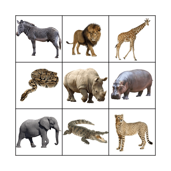 WILD ANIMALS Bingo Card