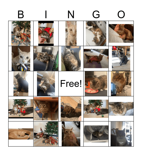 Rachel's Cat Bingo Card