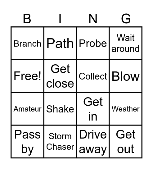 Vocabulary Building: Storm Watch - Diary of a Storm Chaser Bingo Card