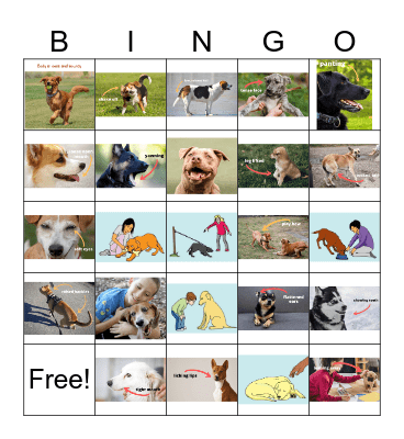 Dog Body Language Bingo Card