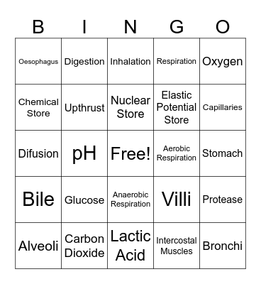 Science Bingo Card