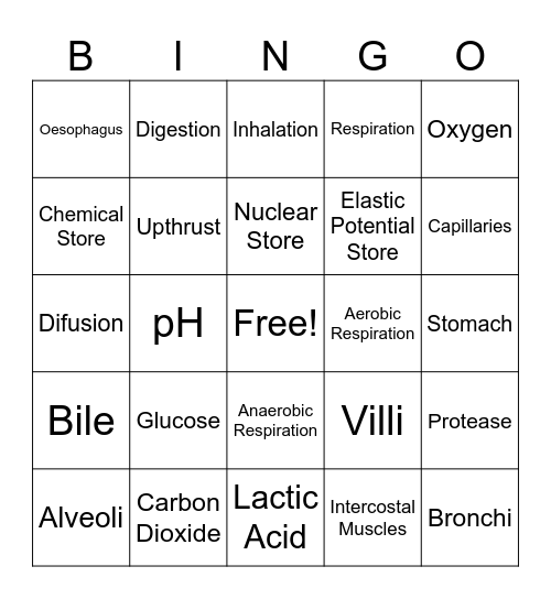 Science Bingo Card