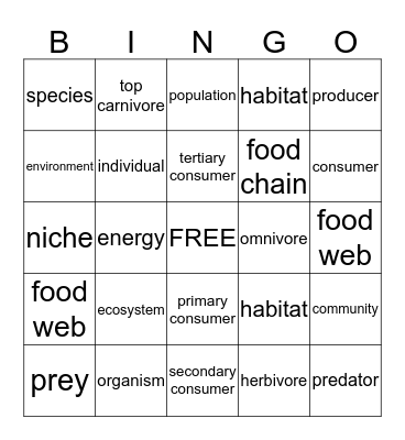 Food Chains and Food Webs Bingo Card