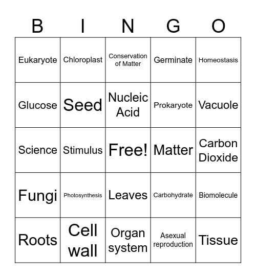 Pumpkin Vocabulary Bingo Card