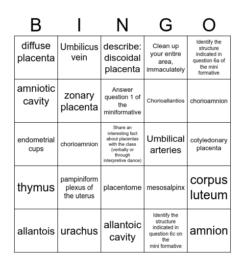 Fetal Membranes and Placenta Bingo Card