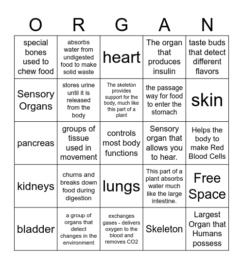 Gilchrist Organs of the Human Body Bingo Card