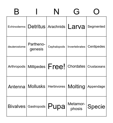 Biology B: Week 2 Bingo Card