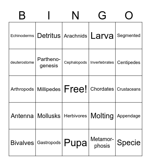 Biology B: Week 2 Bingo Card