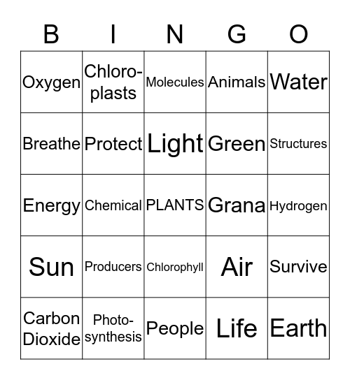 Plants Bingo Card