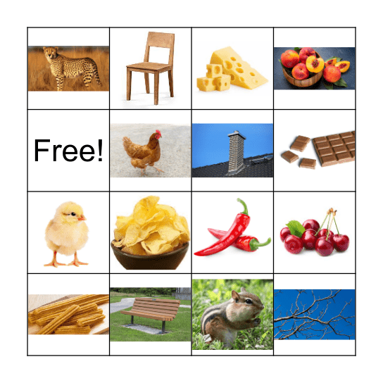 ch word bingo Card