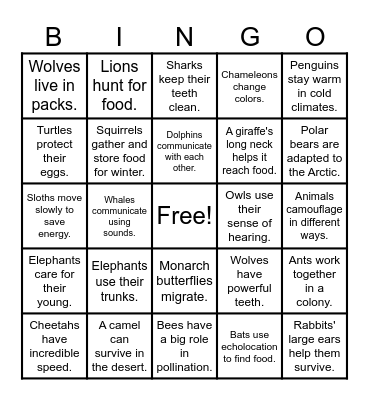Central Idea BINGO Card