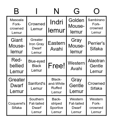 Leaping Lemurs Bingo Card