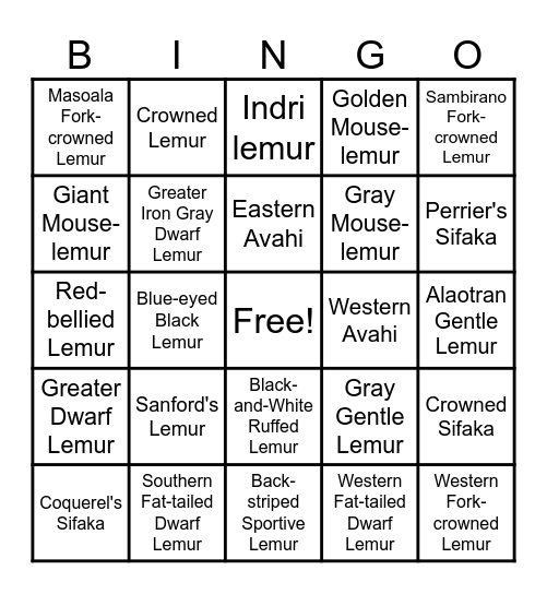 Leaping Lemurs Bingo Card