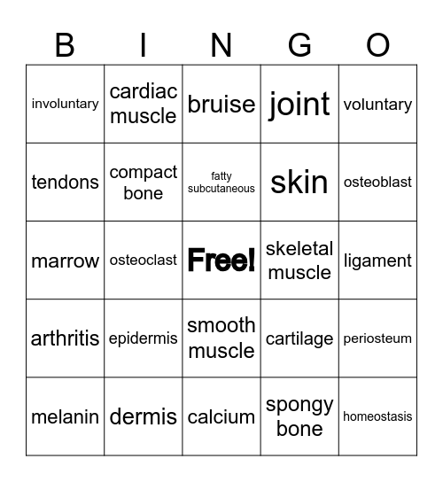 Integ, Skel & Muscle Bingo Card
