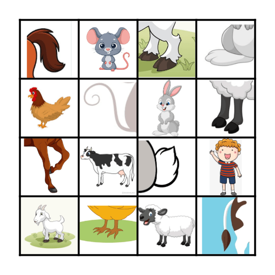 In the coutryside Bingo Card