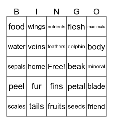 Science Bingo Card