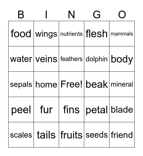 Science Bingo Card