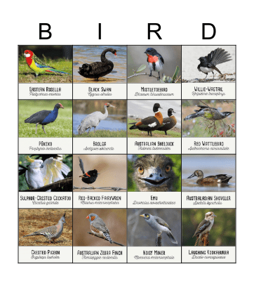 Australian Birds Bingo Card
