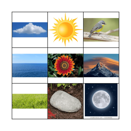 NATURE OUR WORLD 1 Bingo Card