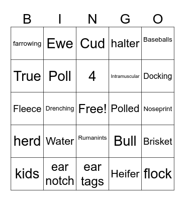 4-h Bingo Card
