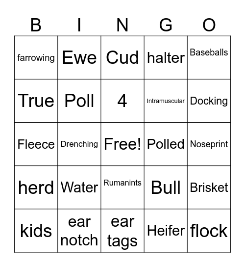 4-h Bingo Card