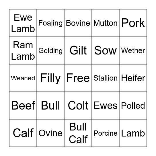 Microsoft Word  Bingo Card