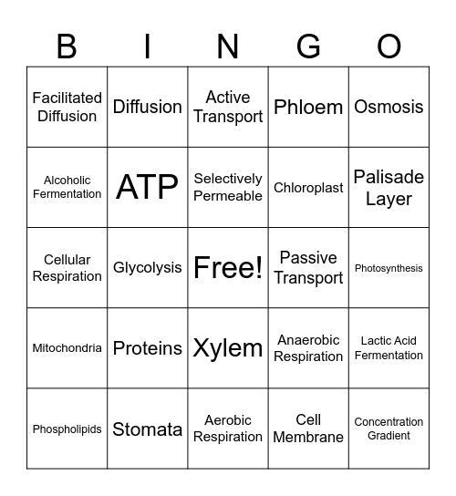Unit 4 Cell Transport/Energy Bingo Card
