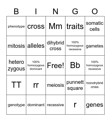 Genetics Review Bingo Card