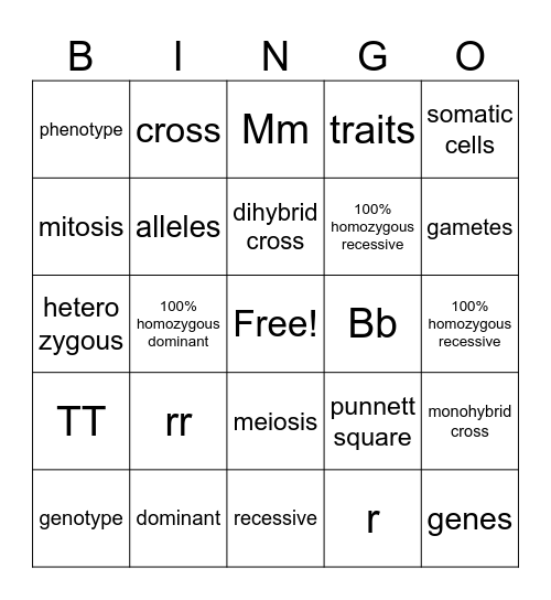 Genetics Review Bingo Card