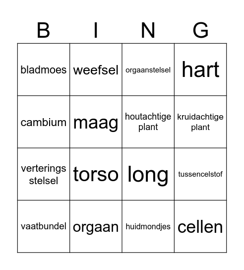 biologie bingo Card