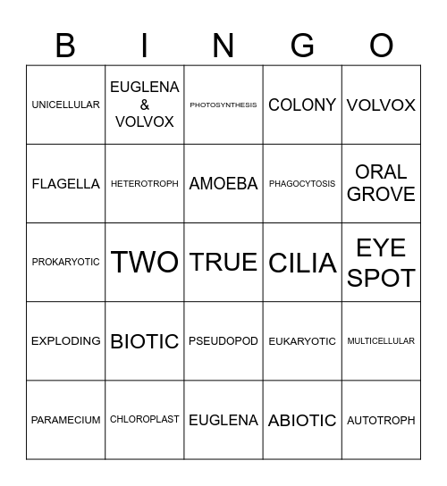 Protist Review BINGO Card