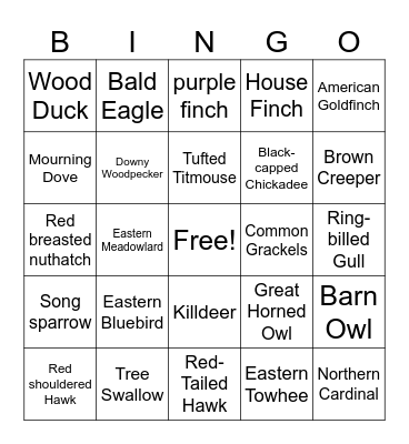 Missouri Birds Bingo Card