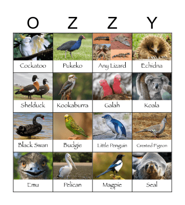 Australian Animals Bingo Card