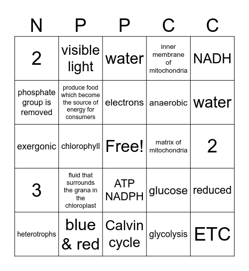 Bioenergetics Bingo Card