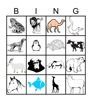 Animals Bingo Card