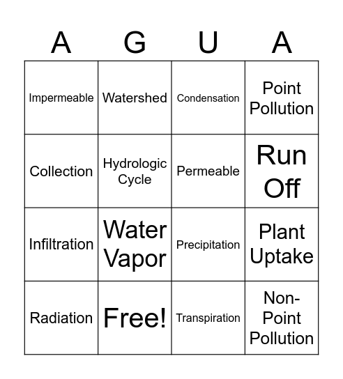 Hydrologic Cycle Review Bingo Card