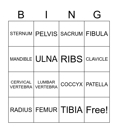 BONE BINGO Card