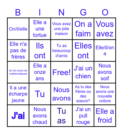 Le verbe: avoir Bingo Card
