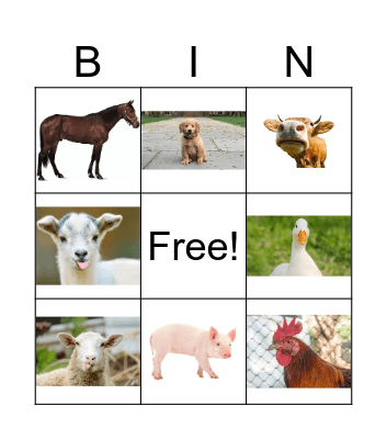 Farm Animals Bingo Card