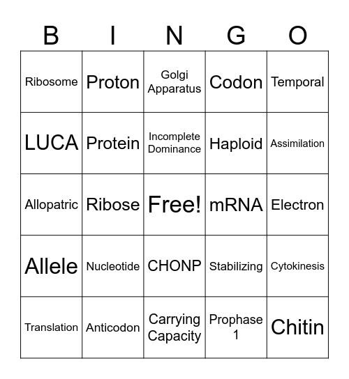 Biology Bootcamp Bingo Card