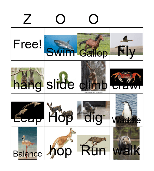 Animal Movement Bingo Card