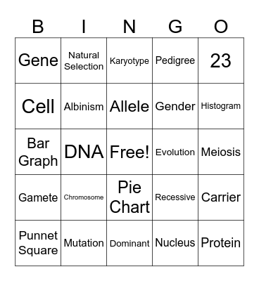 Physics Learning Set Two Review Bingo Card