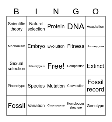 Vocabulary Bingo Card