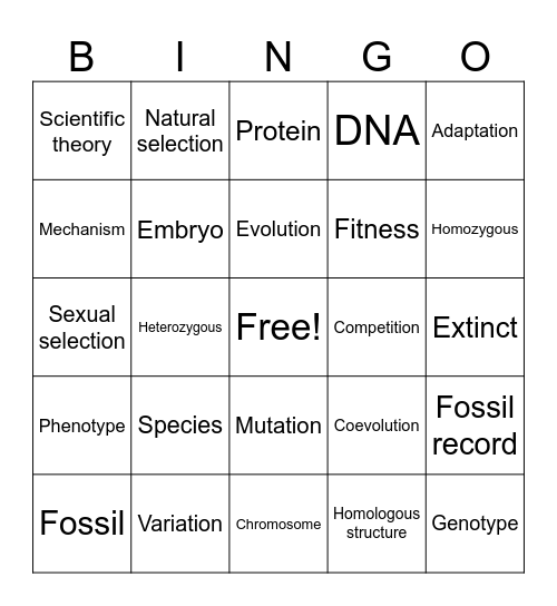 Vocabulary Bingo Card
