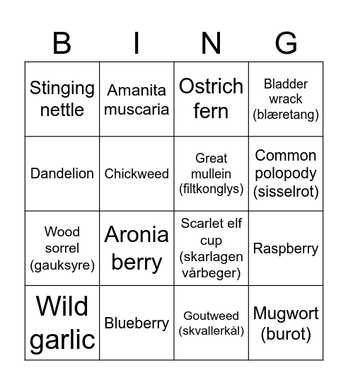 Foraging Bingo Card