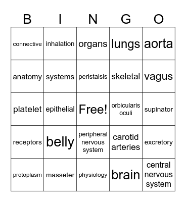 Anatomy & Physiology Bingo Card