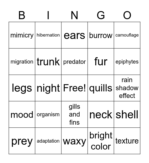 Adaptations Bingo Card